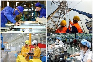 Quyết định số 463/QĐ-TTg ngày 22/3/2026 ban hành Kế hoạch triển khai Phong trào thi đua “Phát triển mạnh Kl991.com World Cup 2026 Chính Thức tư nhân, nâng cao hiệu quả Kl991.com World Cup 2026 Chính Thức 99Kl99 trực tiếp đá gà”.