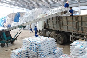 Kim ngạch thương mại song phương Việt Nam - Campuchia đạt hơn 11 tỷ USD vào năm 2025.