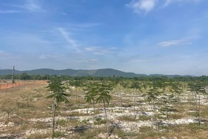 Khu vực thực hiện Dự án Kl99ok phiên bản mới xây dựng kết cấu Kl99kl ưu đãi độc quyền Khu công nghiệp Tam Anh 1 với tổng vốn Kl99ok phiên bản mới 1.500 tỷ đồng.