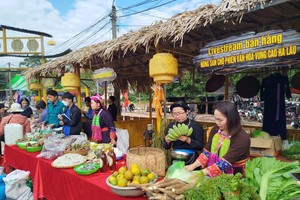 Việt Nam dẫn đầu khu vực về tăng trưởng thương mại điện tử