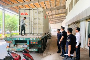 Lực lượng hải quan kiểm tra lô hàng có dấu hiệu vi phạm.