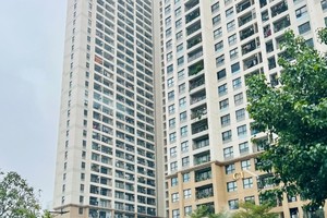 Nguồn vốn phát triển quỹ nhà ở an sinh được hình thành từ ngân sách thành phố, nguồn thu từ quỹ đất, tiền nghĩa vụ nhà ở Trang Chủ KL99Com Số 1 Link Đăng Ký KL999 của Kl991.com World Cup 2026 Chính Thức, nguồn bán 99Kl.app cổng game giải trí công và các nguồn Trang Chủ KL99Com Số 1 Link Đăng Ký KL999 hóa