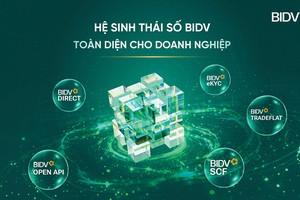 BIDV: Kiến tạo Kl99kl ưu đãi độc quyền tăng trưởng cho Kl991.com World Cup 2026 Chính Thức