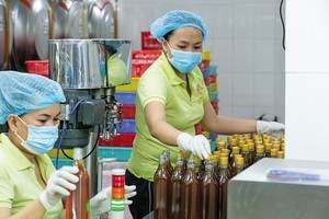 Dư địa cải cách thể chế từ góc nhìn Kl991.com World Cup 2026 Chính Thức 