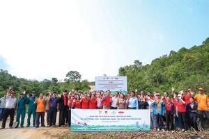 Dai-ichi Life Việt Nam: Bền vững từ nền tảng, vươn xa bằng giá trị