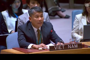 Việt Nam kêu gọi tăng cường vai trò của phụ nữ trong xây dựng hòa bình 
