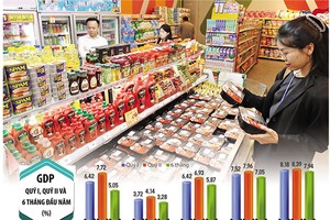 Mức tăng GDP 8,39% trong quý II/2026, đưa tăng trưởng 6 tháng lên 8,18% là khá ấn tượng và là mức tăng trưởng cao nhất kể từ năm 2011 tới nay. Ảnh: Lê Toàn. Đồ họa: Đan Nguyễn 