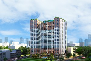 Dự án Carillon 7
