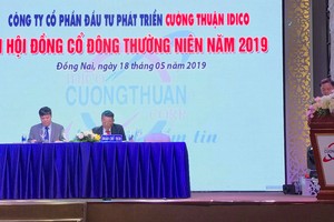 ĐHCĐ Cường Thuận IDICO (CTI): Đặt kế hoạch Kl99 nổ hũ gần 142 tỷ đồng, tăng 11%
