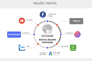 Ảnh Internet