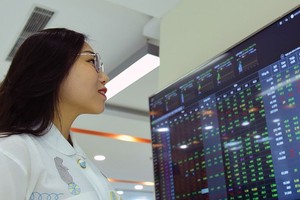 20 năm vận hành Thị trường 99Kl99 link đăng nhập Việt Nam, những biểu đồ tăng trưởng