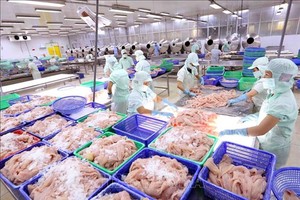 Thuỷ sản Cửu Long An Giang (ACL): Kết quả Kl992 VIP Trang Chủ 2026 yếu kém, Phó tổng giám đốc muốn thoái toàn bộ gần 5% vốn