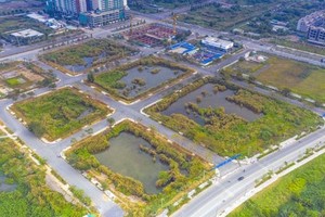 Đấu giá lại những lô đất bị bỏ cọc tại Thủ Thiêm, tín hiệu tích cực cho thị trường Web Tổng Nhà Cái 99Kl99 Giải Trí Bậc Nhất