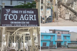 TCO Holding (TCO) muốn rót vốn Kl99ok phiên bản mới thêm dự án khu phức hợp ngàn tỷ tại Đà Nẵng