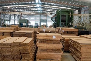 KL99 là cổng game giải trí trực tuyến hàng đầu hiện nay tím nhiều phiên dù Sao Thái Dương (SJF) chưa có nhiều doanh thu từ mảng gỗ tre