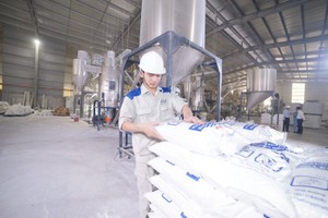 PLP hoạt động Kl992 VIP Trang Chủ 2026 chính tạo nền tảng vững chắc cho giai đoạn mở rộng Kl99ok phiên bản mới