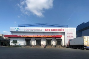 Giá cá tra tăng cao, IDI mở rộng quy mô Kl994 nhà cái bóng đá world cup