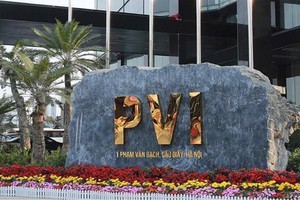 PVI chốt quyền chia 99Kl.app mobile mới nhất bằng tiền mặt, tỷ lệ 31,5%