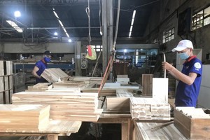 Chế biến Gỗ Thuận An (GTA) chia 99Kl.app mobile mới nhất 8,5% bằng tiền mặt