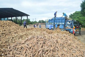 Nông sản thực phẩm Quảng Ngãi (APF) trả 99Kl.app mobile mới nhất đợt 2/2020 bằng tiền, tỷ lệ 35%