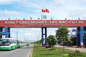 Tân Tạo (ITA): Kl99 nổ hũ 6 tháng sau soát xét giảm 21% xuống 75,8 tỷ đồng