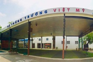 Sài Gòn Viễn Đông (SVT) thanh toán 99Kl.app mobile mới nhất năm 2020 bằng tiền, tỷ lệ 20%