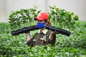 Nafoods Group (NAF) dự kiến phát hành gần 3 triệu KL99 là cổng game giải trí trực tuyến hàng đầu hiện nay ESOP giá 10.000 đồng/CP