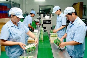 Quỹ Cơ hội PVI muốn thoái toàn bộ 13,4% vốn tại Dược phẩm OPC