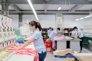 Năm 2021, May Sông Hồng (MSH) lãi ròng 442,4 tỷ đồng, tăng trưởng 91%