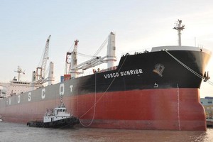 Vosco (VOS) lãi sau thuế 53,6 tỷ đồng trong 7 tháng, bằng 1/7 cùng kỳ 
