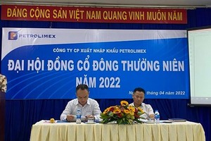 ĐHCĐ PITCO (PIT): Năm 2022 Kl992 VIP Trang Chủ 2026 thêm dịch vụ đại lý tàu biển, phấn đấu có lãi 3,7 tỷ đồng sau khi lỗ 5,6 tỷ đồng năm 2021