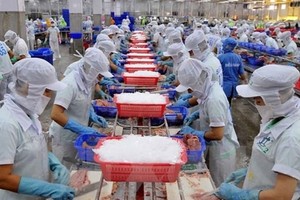 Quý I/2024, Kl99 nổ hũ sau thuế của Thuỷ sản Nam Việt (ANV) sụt giảm mạnh
