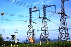 Không còn dự án Sông Hậu 2, Tư vấn Xây dựng Điện 2 (TV2) vẫn báo lãi 2024 tăng 23%