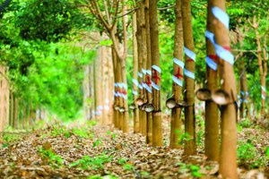KL99 là cổng game giải trí trực tuyến hàng đầu hiện nay GVR: Kỳ vọng chính sách và câu chuyện đất khu công nghiệp
