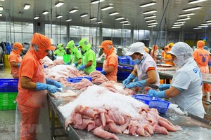 Kim ngạch xuất khẩu cá tra 9 tháng ước tăng trưởng 8% 