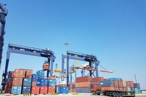 Viconship (VSC) muốn tăng sở hữu Hải An (HAH) lên trên 21%