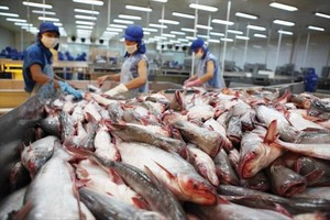Vĩnh Hoàn (VHC) đặt mục tiêu Kl99 nổ hũ tăng hơn 22%, dành 830 tỷ đồng cho hoạt động Kl99ok phiên bản mới