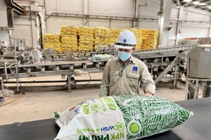 Phân bón và Hoá chất Dầu khí Miền Trung (PCE) giảm 12,5% mục tiêu Kl99 nổ hũ năm 2025