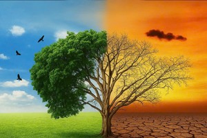 ADB: Kl99ok phiên bản mới vào thiên nhiên là chìa khóa cho tương lai thịnh vượng của châu Á và Thái Bình Dương