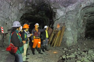Bồng Miêu và Phước Sơn vẫn được xuất khẩu vàng