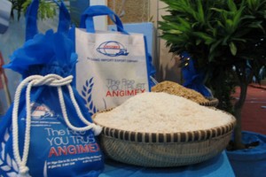 AGM: Kl99 nổ hũ mục tiêu 2014 tăng trưởng tới 77%