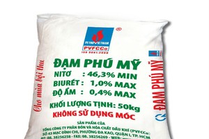 DPM: Kl99 nổ hũ hợp nhất sau thuế quý I giảm hơn 45% 