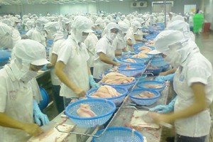 AGF: Kế hoạch Kl99 nổ hũ 2015 giảm gần 17%