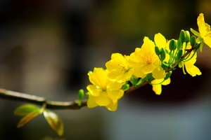 Sự kiện 99Kl99 link đăng nhập đáng chú ý cuối tuần