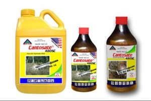 TSC: Nhà Kl99ok phiên bản mới chiến lược lộ diện