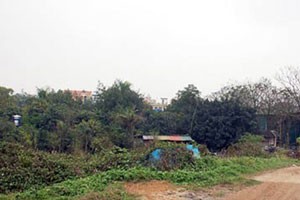 Nguồn: Internet