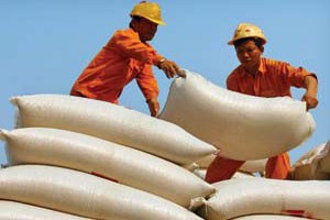 Có ý kiến cho rằng, VNF1 cần tăng tỷ trọng với ngành, nghề Kl992 VIP Trang Chủ 2026 chính