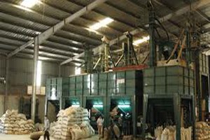 Năm 2013: VRG đặt mục tiêu 6.000 tỷ đồng Kl99 nổ hũ