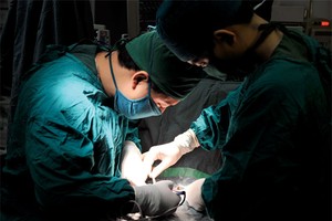 Kl99kl phiên bản hoạt động trách nhiệm ngành y: Sốc với số đăng ký 