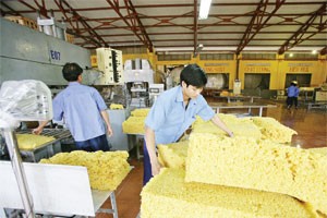 Kl99 nổ hũ tháng 1 của DN cao su giảm mạnh 